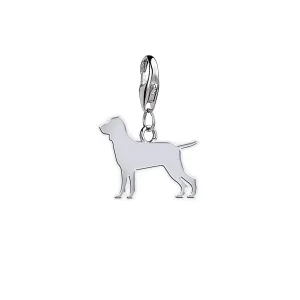 Bracco Italiano Silhouette Silver Charm