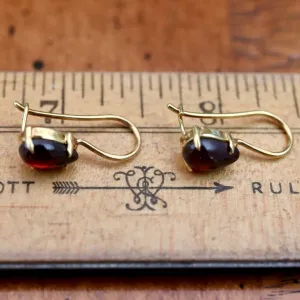 Drops of Garnet Earrings