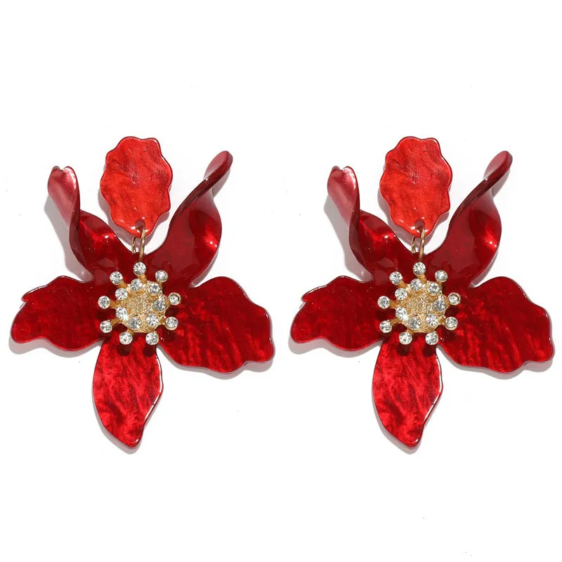 Earrings Red Ear Rings